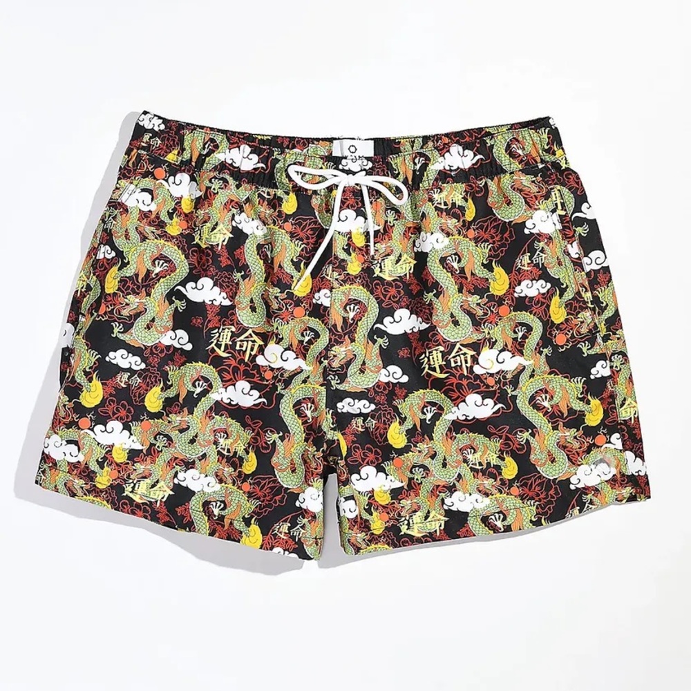 Zumiez Empyre Kids Ollie Dragon Black Board Shorts Swim Trunks